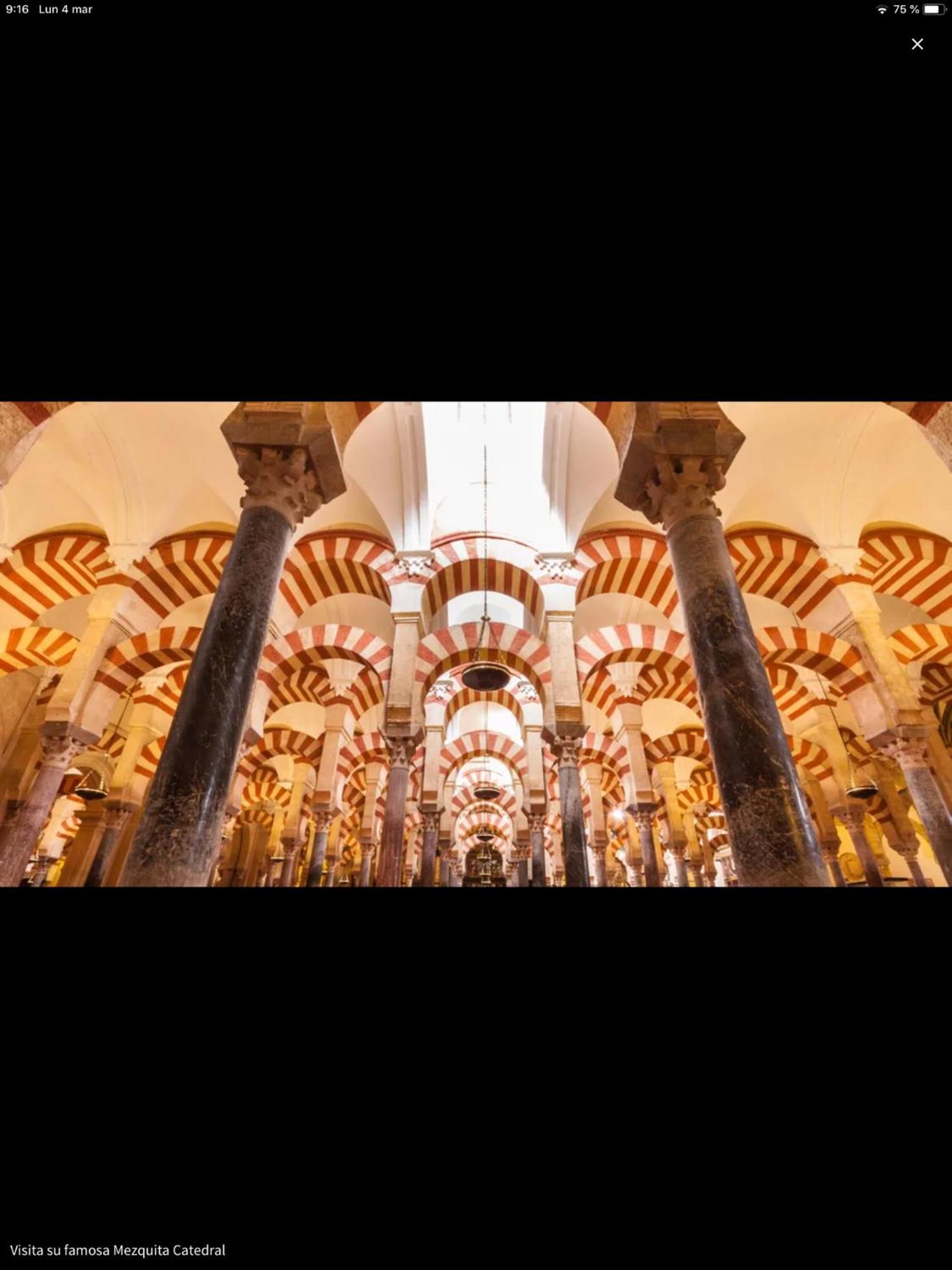 コルドバCentro Historico Mezquita Juderia La Preferidaアパートメント エクステリア 写真