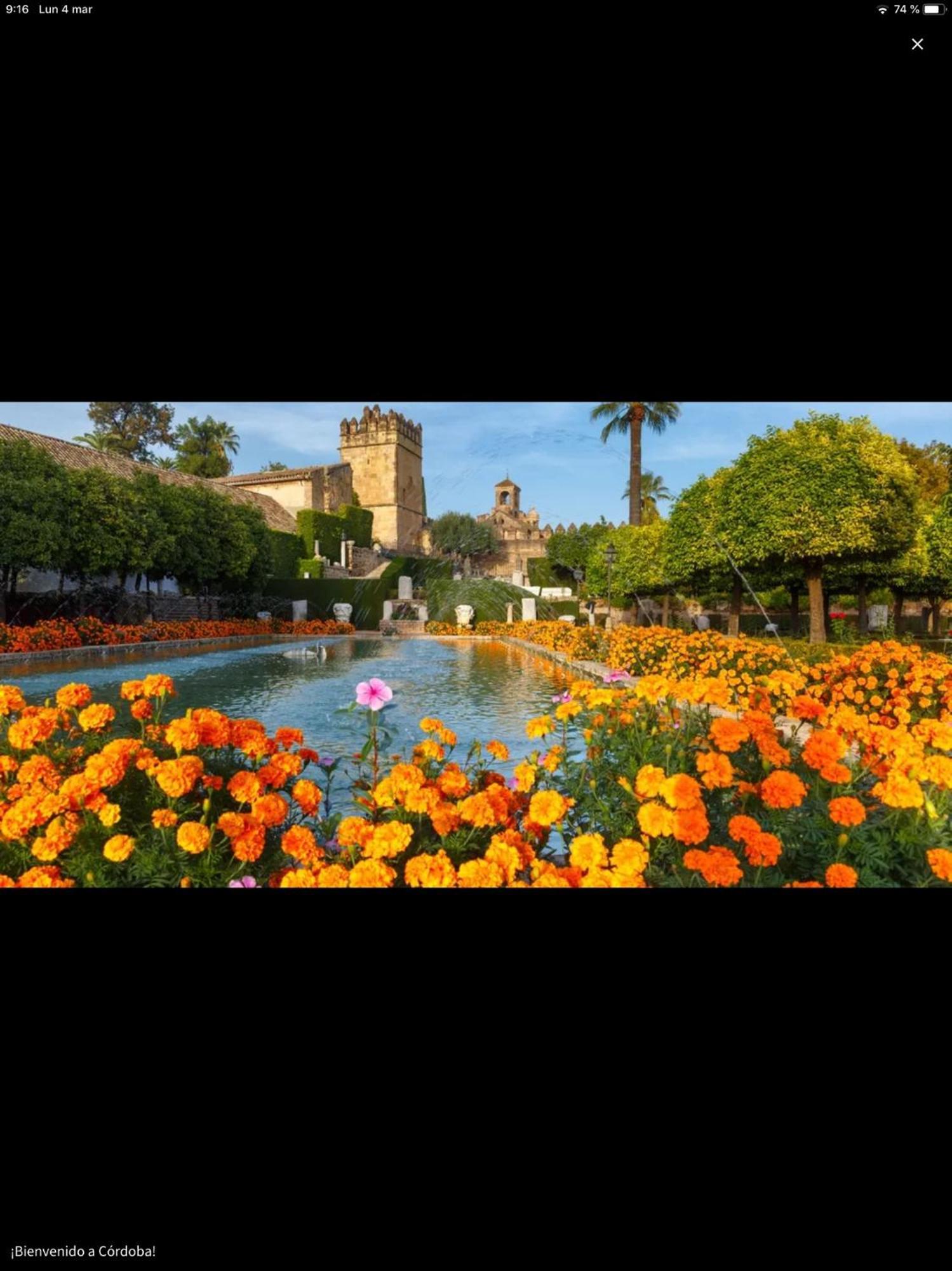 コルドバCentro Historico Mezquita Juderia La Preferidaアパートメント エクステリア 写真