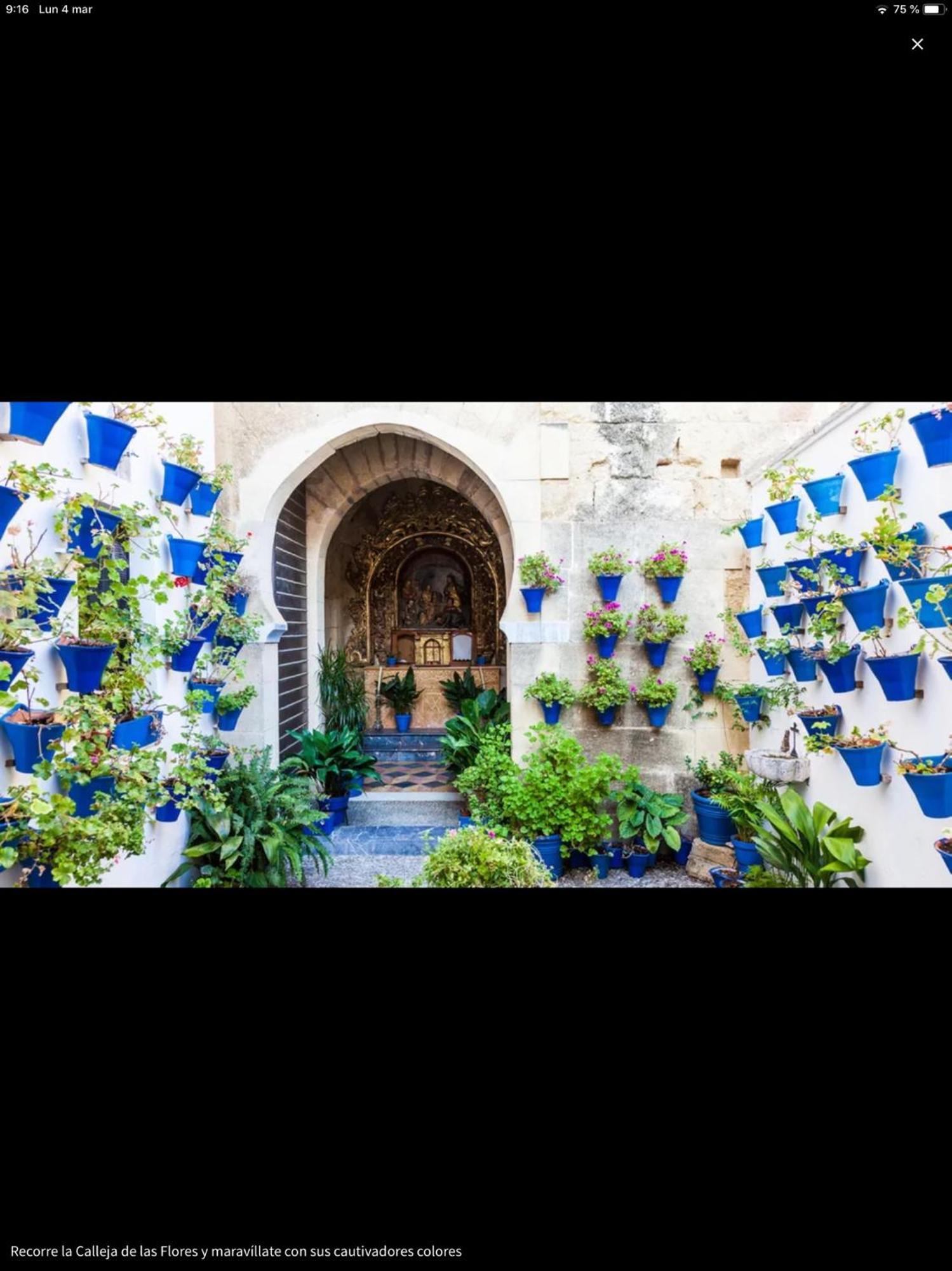 コルドバCentro Historico Mezquita Juderia La Preferidaアパートメント エクステリア 写真